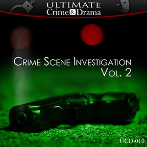Crime Scene Investigation Vol. 2