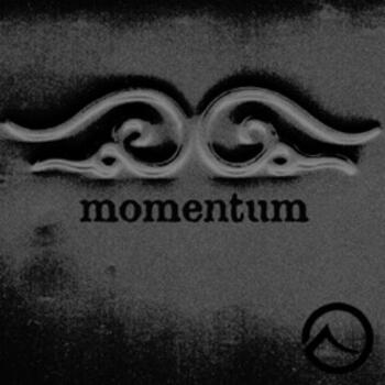 Momentum