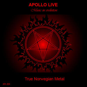 TRUE NORWEGIAN METAL