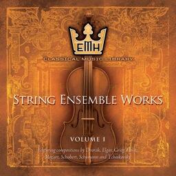 String Ensemble Vol 1