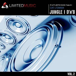 JUNGLE | DRUM'N'BASS 2