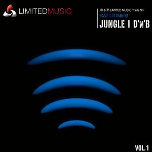 JUNGLE | DRUM'N'BASS 1