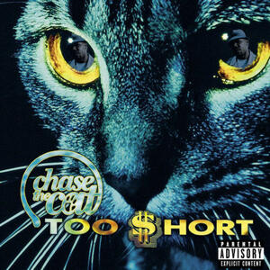 CHASE THE CAT