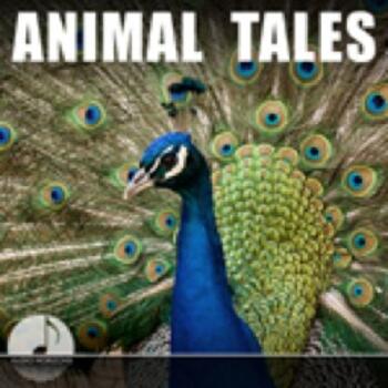 Animal Tales