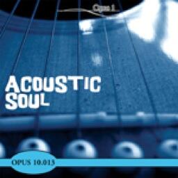 Acoustic Soul