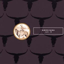 Americana Alt. Country Vol. 2