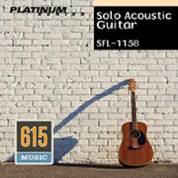  Solo Acoustic Guitar