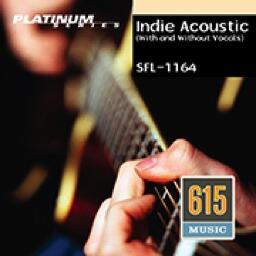  Indie Acoustic