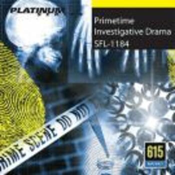  Primetime Investigative Drama