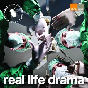 Fly On The Wall - Real Life Drama