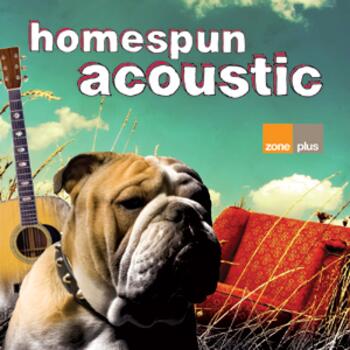 ZONE 501 HOMESPUN ACOUSTIC