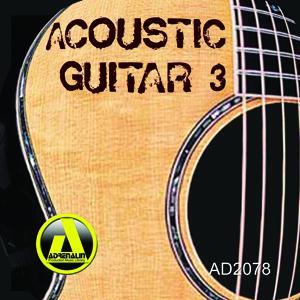 Acoustic Guitar 3