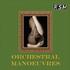 RSM086 Orchestral Manoeuvres