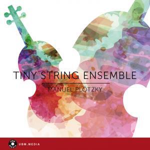 Tiny String Ensemble