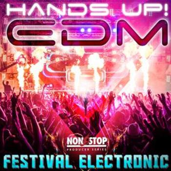 Hands Up! EDM! - Festival Electronic