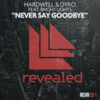 NEVER SAY GOODBYE