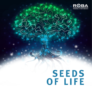 Seeds Of Life