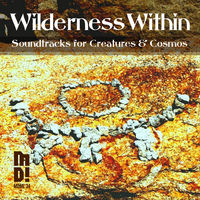 WILDERNESS WITHIN: SOUNDTRACKS F.CREATURE & COSMOS