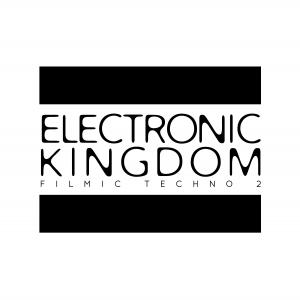 Electronic Kingdom II