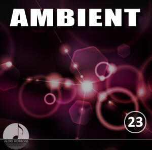 Ambient Vol 23