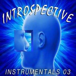 DBM_146 - Introspective 03