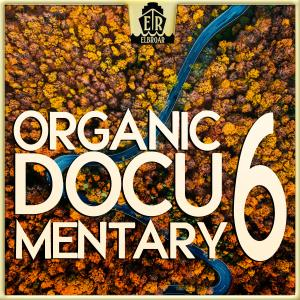 Organic Documentary 6 - Authentic Violin