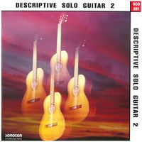 DESCRIPTIVE SOLO GUITAR 2