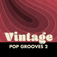 VINTAGE POP GROOVES 2