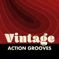 VINTAGE ACTION GROOVES