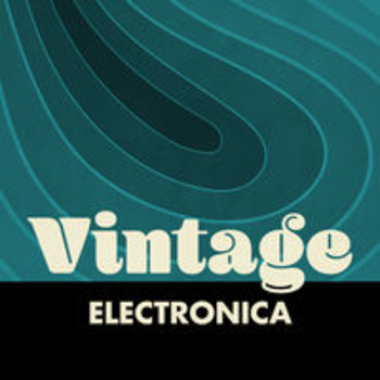 VINTAGE ELECTRONICA