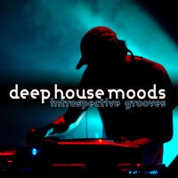 DEEP HOUSE MOODS - INTROSPECTIVE GROOVES