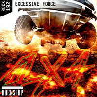 EXCESSIVE FORCE