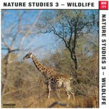 NATURE STUDIES 3 - WILDLIFE