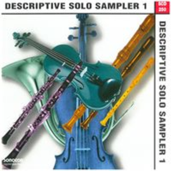 DESCRIPTIVE SOLO SAMPLER 1