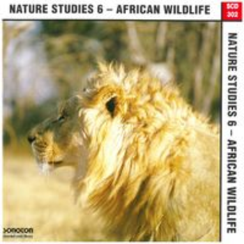 NATURE STUDIES 6 - AFRICAN WILDLIFE