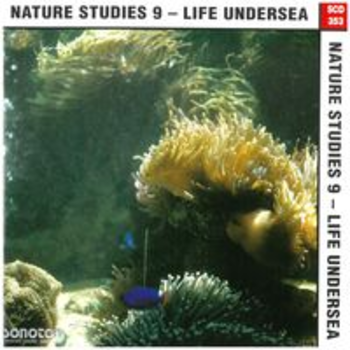 NATURE STUDIES 9 - LIFE UNDERSEA