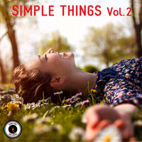 SIMPLE THINGS Vol. 2