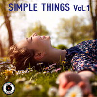 SIMPLE THINGS Vol. 1