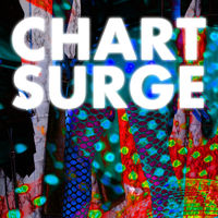 CHART SURGE