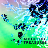 ACOUSTIC TREASURES - Laurent Dury