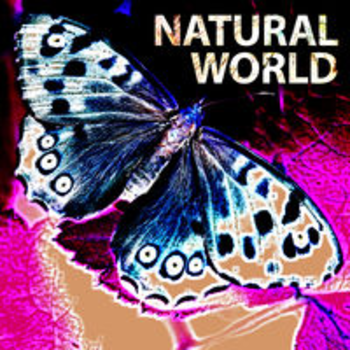 NATURAL WORLD