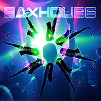 SAXHOUSE - Michael Hornstein