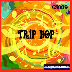 - TripHop