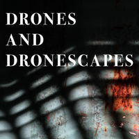 DRONES AND DRONESCAPES