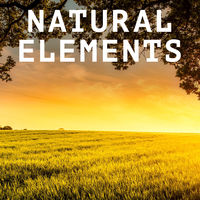 NATURAL ELEMENTS