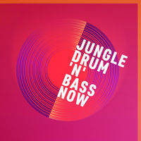 JUNGLE, DRUM 'N' BASS NOW