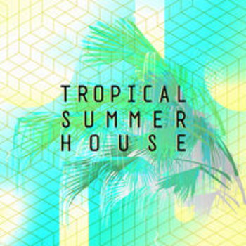 TROPICAL SUMMER HOUSE