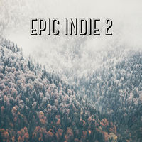 EPIC INDIE II