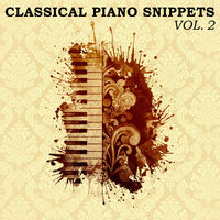 CLASSICAL PIANO SNIPPETS Vol. 2
