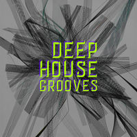 DEEP HOUSE GROOVES